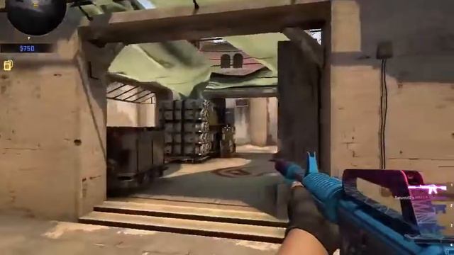 shit spray but zeus m e m e смотреть онлайн
