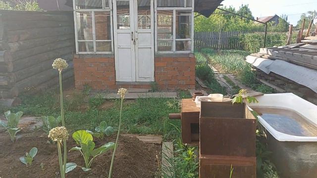 Отчет о работе в огороде. 15.06.23 смотреть онлайн