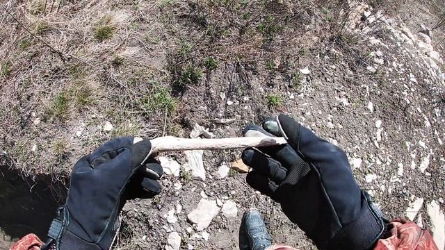 Черные копатели раскопали трактором курган. Шок ! Человеческие кости. смотреть онлайн