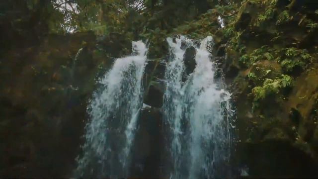 Relaxing Music, Meditation Music, Sleeping Music, Yoga Music, Spa Music, Study Music, Insomnia 013 смотреть онлайн