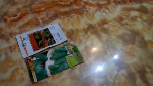 Огурец Гектор F1 отзыв.