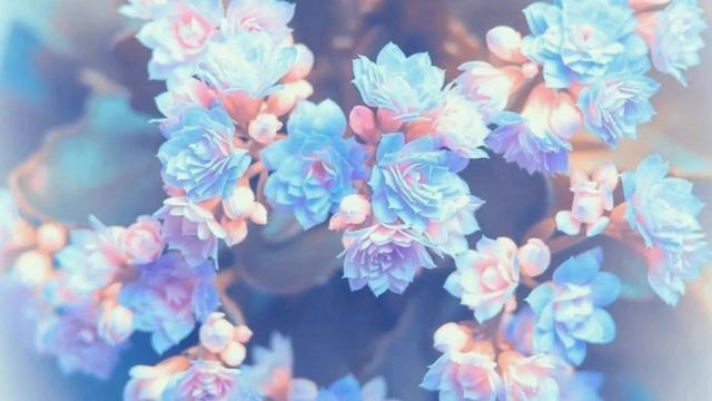 | ?Aesthetic Music? | Для учебы/сна/творчества  (Прочитайте описание)