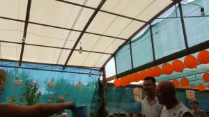 Теща, дай на машину!