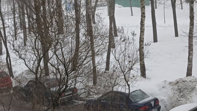 Мои любимые подписчики и будущие друзья смотреть онлайн