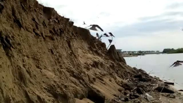 Береговые ласточки смотреть онлайн