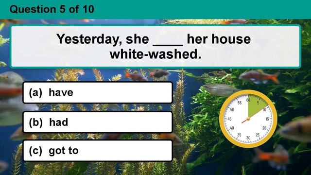 General Grammar Quiz । Grammar quiz । English grammar । Part 31। Brain Edukit смотреть онлайн