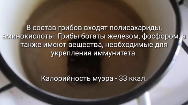 Научные Эксперименты