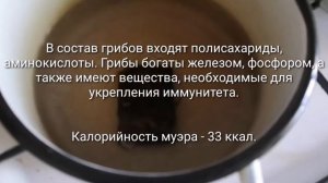 Китайский древесный гриб муэр.