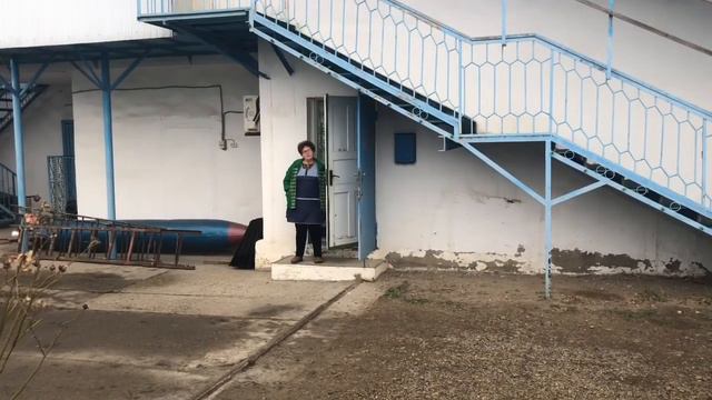 Французские бульдоги участвуют в пересадке сосен смотреть онлайн