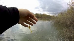 Ловля окуня на микроджиг и цикаду