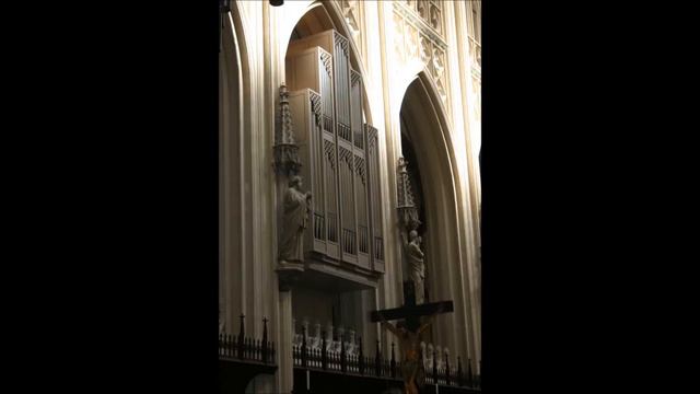 Marco Rozemuller-Orgelkoraal Psalm 42 смотреть онлайн