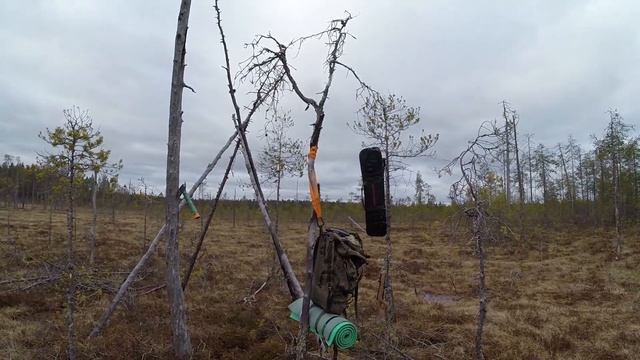 Как Построить Шалаш На Тетеревином Току. Делаем Скрадок. На Току Косача. Охота 2020 смотреть онлайн