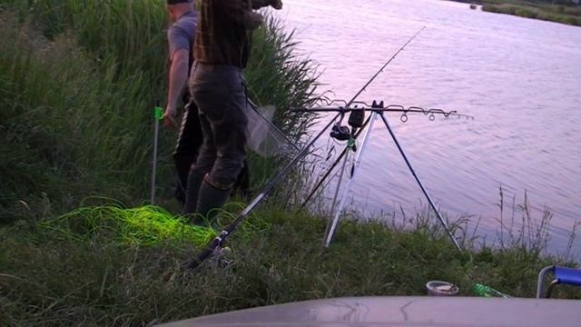 Ловля толстолоба на резинку (первый толстолоб) смотреть онлайн