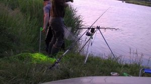 Ловля толстолоба на резинку (первый толстолоб)