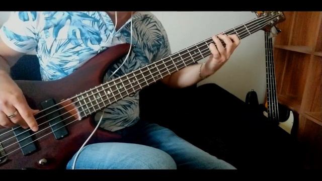 Peter Tosh - Where You Gonna Run - bass cover (Ibanez SR505) смотреть онлайн