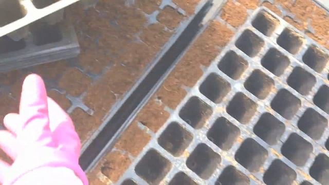 Какими кассетами для рассады мы пользуемся. Обзор. смотреть онлайн