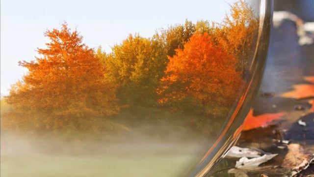 15 ноября 2021 года - прогноз дня - все, что вы попросите - исполнится! смотреть онлайн