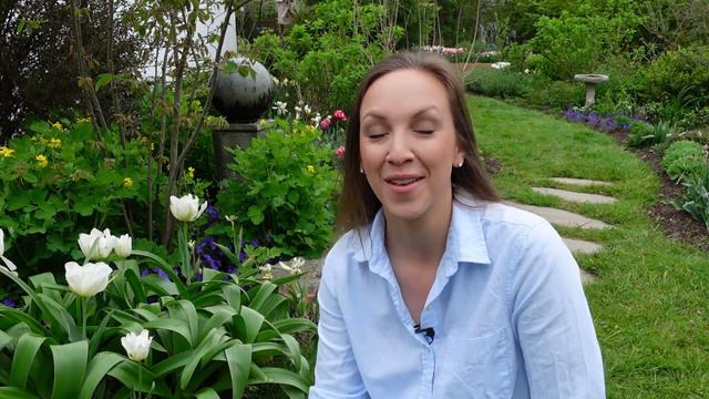 How to Plant Tulips смотреть онлайн