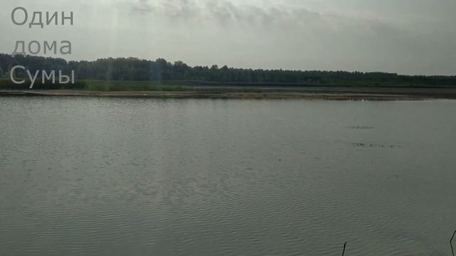 #ЛЕБЕДИН (ч.1) ЛЕБЕДИНСКОЕ ОЗЕРО ВЫСОХЛО. ЭТО КОНЕЦ?#Сумы смотреть онлайн