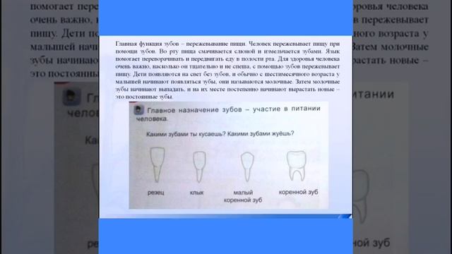 Основы безопасного поведения 4. Зачем нужна личная гигиена. 0 класс смотреть онлайн