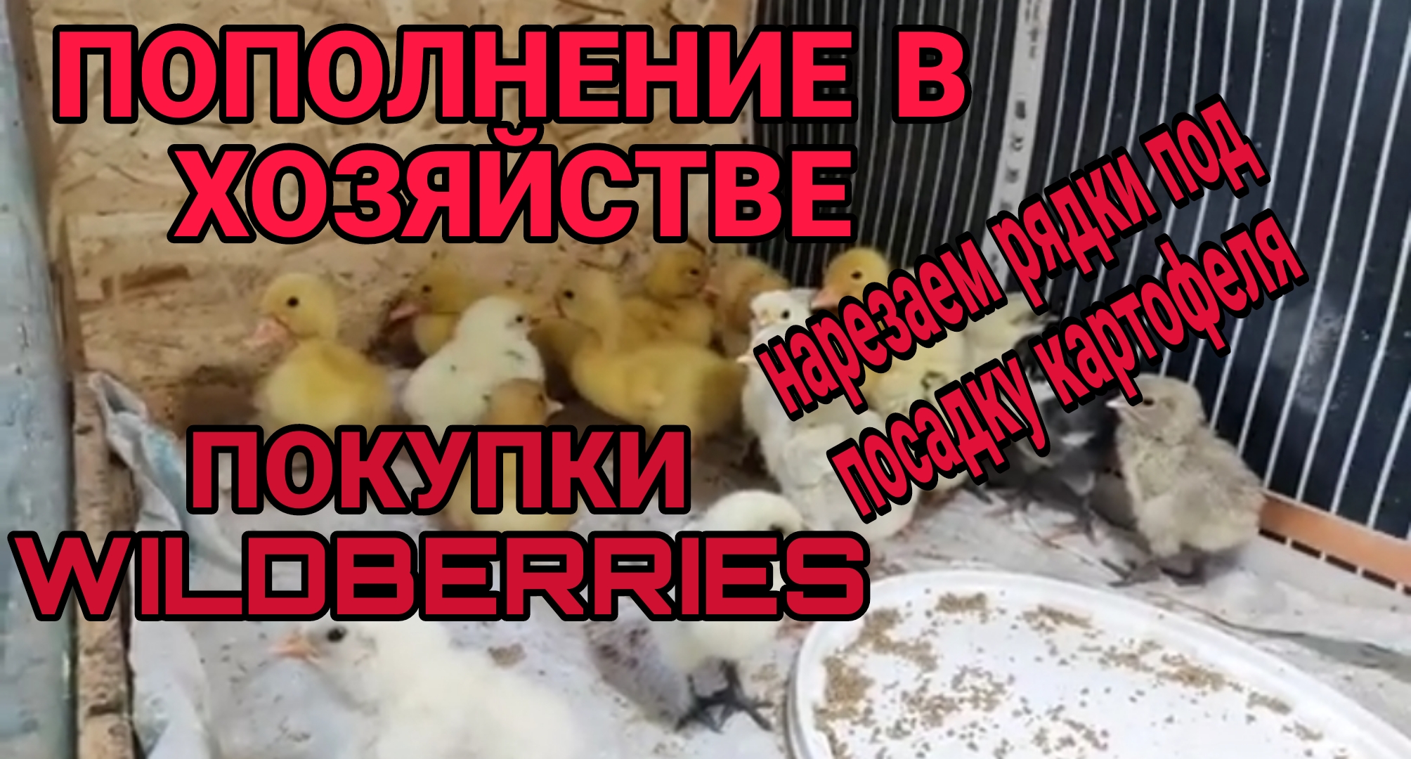 Готовим дома ветчину, подкопченую смотреть онлайн