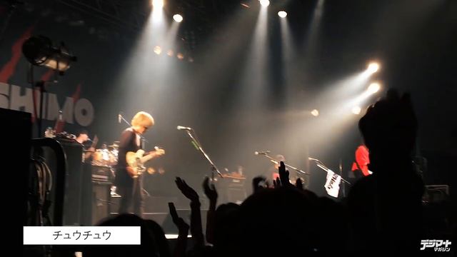 MOSHIMO meets Shure MOTIV MV88 & ShurePlus MOTIV Video App【デジマート・マガジン特集】 смотреть онлайн