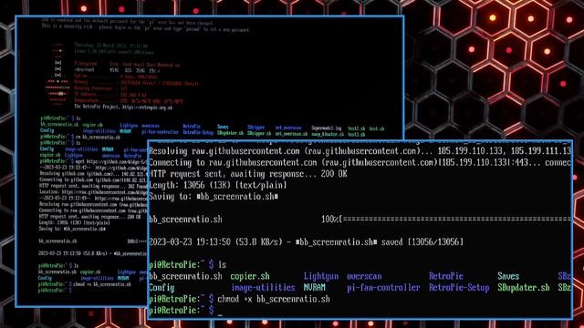 How to... convert Sinden Barebones 9.x to 4:3 or 5:4 aspect ratio смотреть онлайн