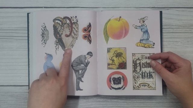 New Sticker Book Flip Throughs: Bibliophilia & The Botanist's Sticker Anthology!! смотреть онлайн