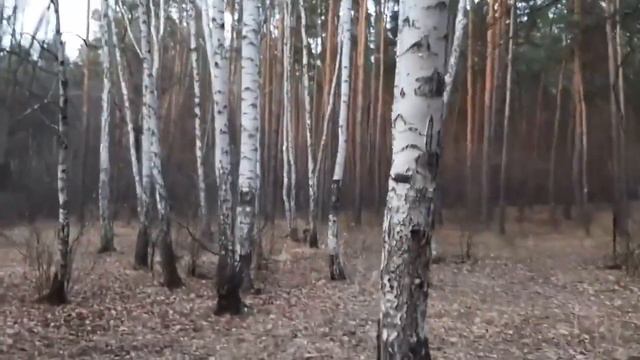 Горная река Моего Святого Духа! смотреть онлайн