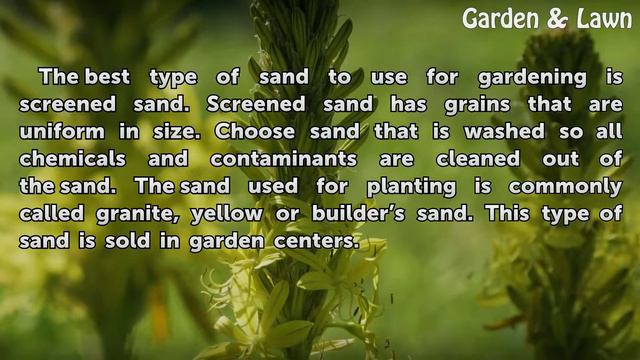What Type of Sand Do I Use for Planting? смотреть онлайн