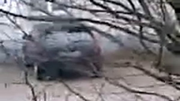 Kita in Duisburg-Homberg.3gp