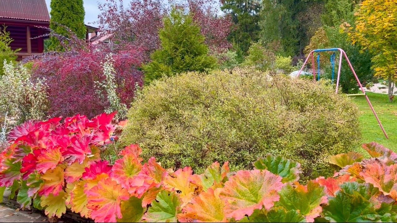 КАТАЛОГ РАСТЕНИЙ. Вторая часть. МНОГОЛЕТНИЕ ТРАВЯНИСТЫЕ.  Г-И.