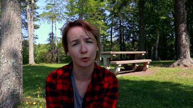 Сдача на водительские права в Канаде (New Brunswick): теоретический и практический экзамен смотреть онлайн