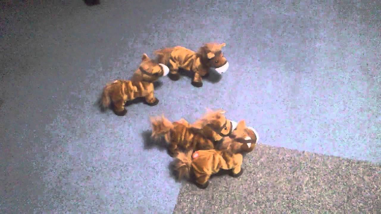 С годом лошади! смотреть онлайн