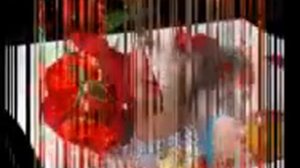 Мариночке любимой   Марина,я люблю тебя