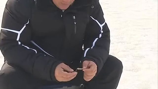Последний лед смотреть онлайн