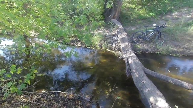 Короткий видеобзор велопоездки 03.10.21 смотреть онлайн