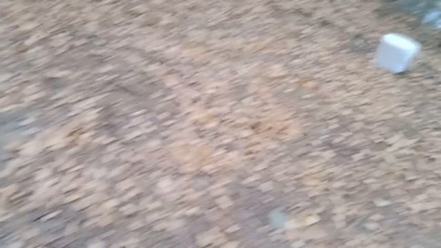 Ловим НАЛИМА и не только  С друзьями на Печоре 2 Пошла северная утка  НАЛИМ на костре