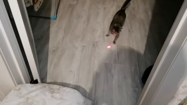 День безделия/Встретила Ваню, обновили стол/Бенгальская свеча, огромная🎇 смотреть онлайн