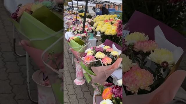 Краски осени на улице! смотреть онлайн