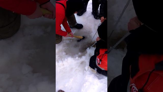 Сом зимой смотреть онлайн