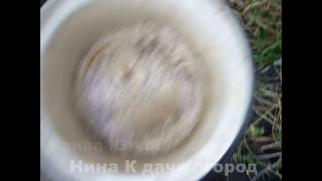 ? ВЫРАЩИВАНИЕ/ СУПЕР ПУЧКОВЫХ ОГУРЦОВ УРАЛЬСКИЙ ДАЧНИК РМТ F1 МЭЛС F1//БУКЕТНЫЙ СОРТ ОГУРЦОВ ОТЗЫВЫ смотреть онлайн