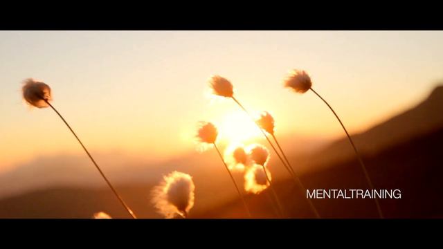 Intro - Boundless Life - Stefan Rainer