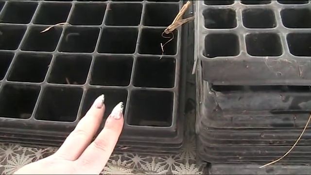 Доступный бизнес на рассаде капусты! Теория часть №1 // Секреты хороших урожаев. смотреть онлайн