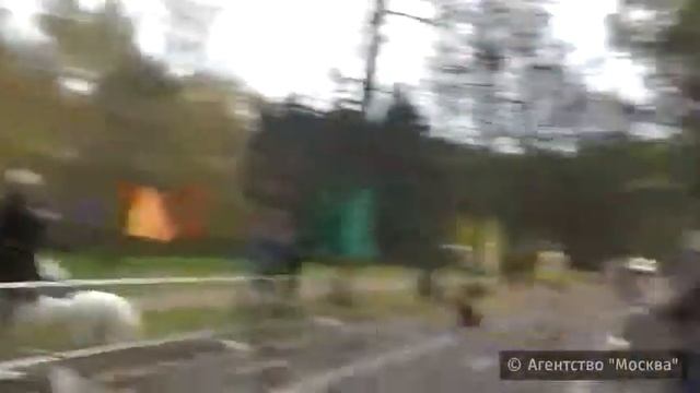 Агентство городских новостей Москва. Супергеройский забег в парке. смотреть онлайн