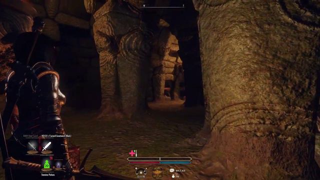 [4K | 21:9 | 1550 Mods] Skyrim - Cleaning Bleak Falls Barrow