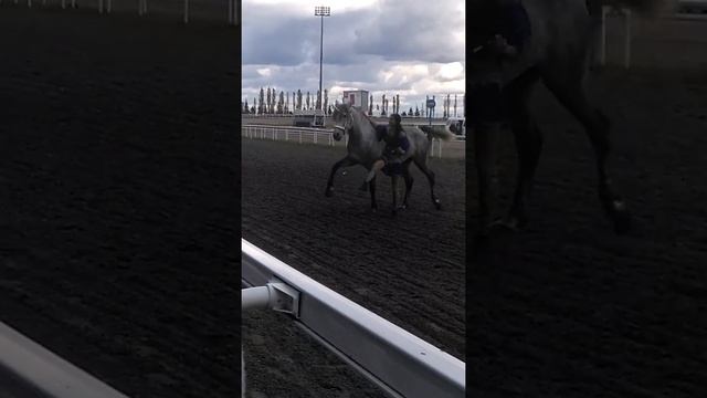 Танец Звёздочки смотреть онлайн