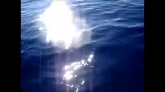 φαγκρι jigging - snapper смотреть онлайн