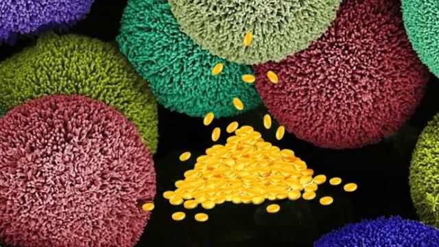 Фитнес для души Притяжение Изобилия смотреть онлайн
