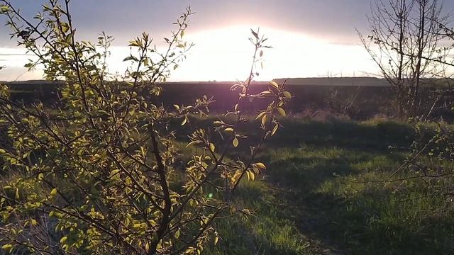 Обновление ДНК. Омоложение организма. Медитация Тета хилинга. смотреть онлайн